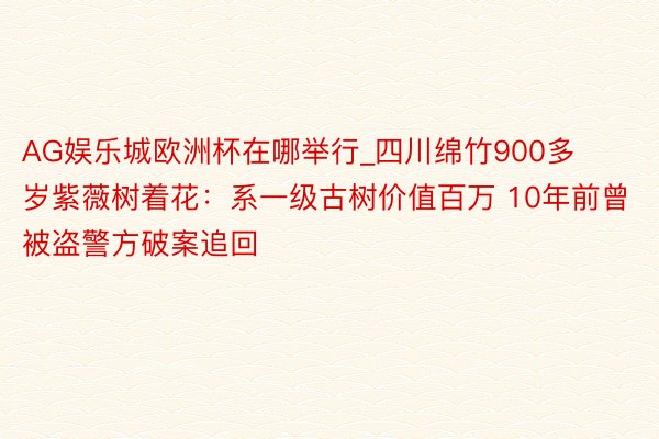 AG娱乐城欧洲杯在哪举行_四川绵竹900多岁紫薇树着花：系一级古树价值百万 10年前曾被盗警方破案追回