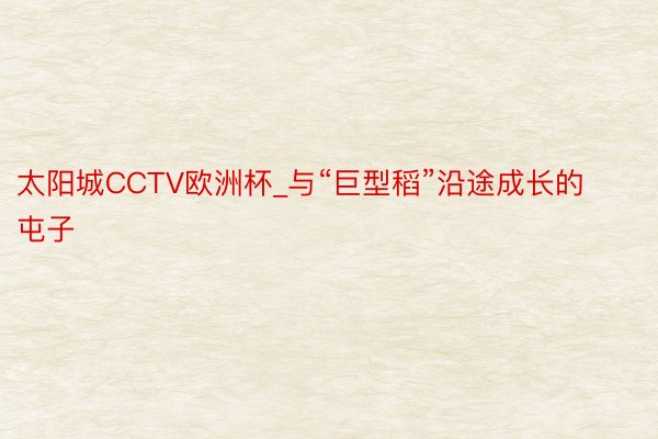 太阳城CCTV欧洲杯_与“巨型稻”沿途成长的屯子